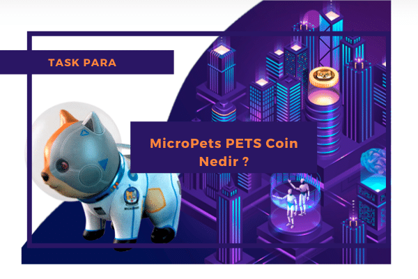 MicroPets PETS Coin Nedir