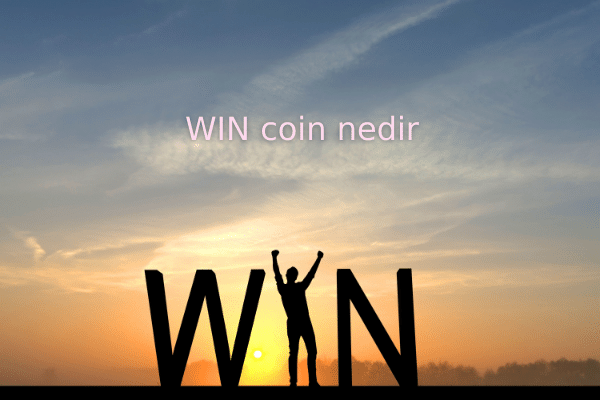 WIN coin nedir